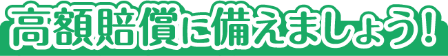 高額賠償に備えましょう！
